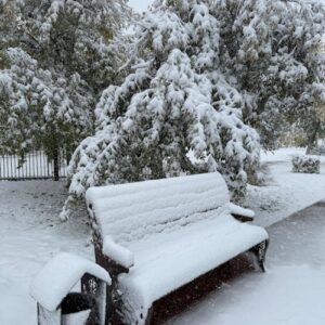 Freezing Rain To Snow