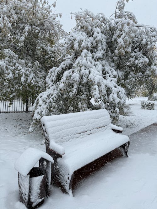 Freezing Rain To Snow